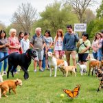 Cómo se llaman las personas que maltratan a los animales