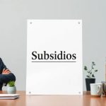 Embargabilidad de subsidios: qué necesitas saber