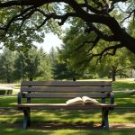 Sucesión intestada sin descendientes ni ascendientes: ¿qué sucede?